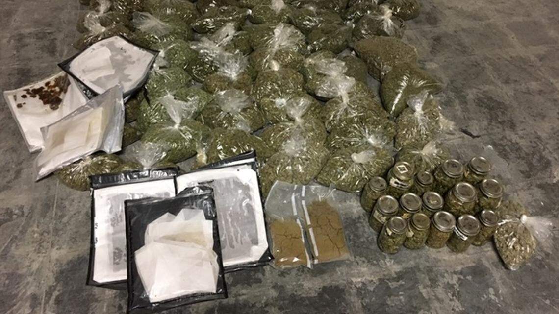 Authorities in Northern California’s Santa Cruz County shared photos after a search in a welfare fraud investigation revealed an illegal marijuana operation, officials said.