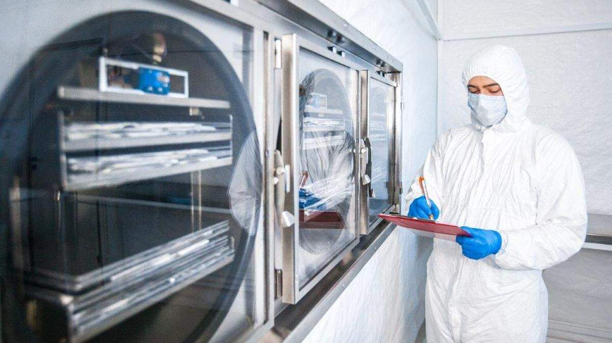 Medical experts prepare fish skin from wild cod — fished off the coast of Iceland — to apply on burn and diabetic wound patients.