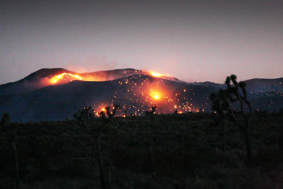 In this photo taken May 24, 2009, fires continue to burn in Joshua Tree National Park in the Mojave Desert outside Palms Springs, California.