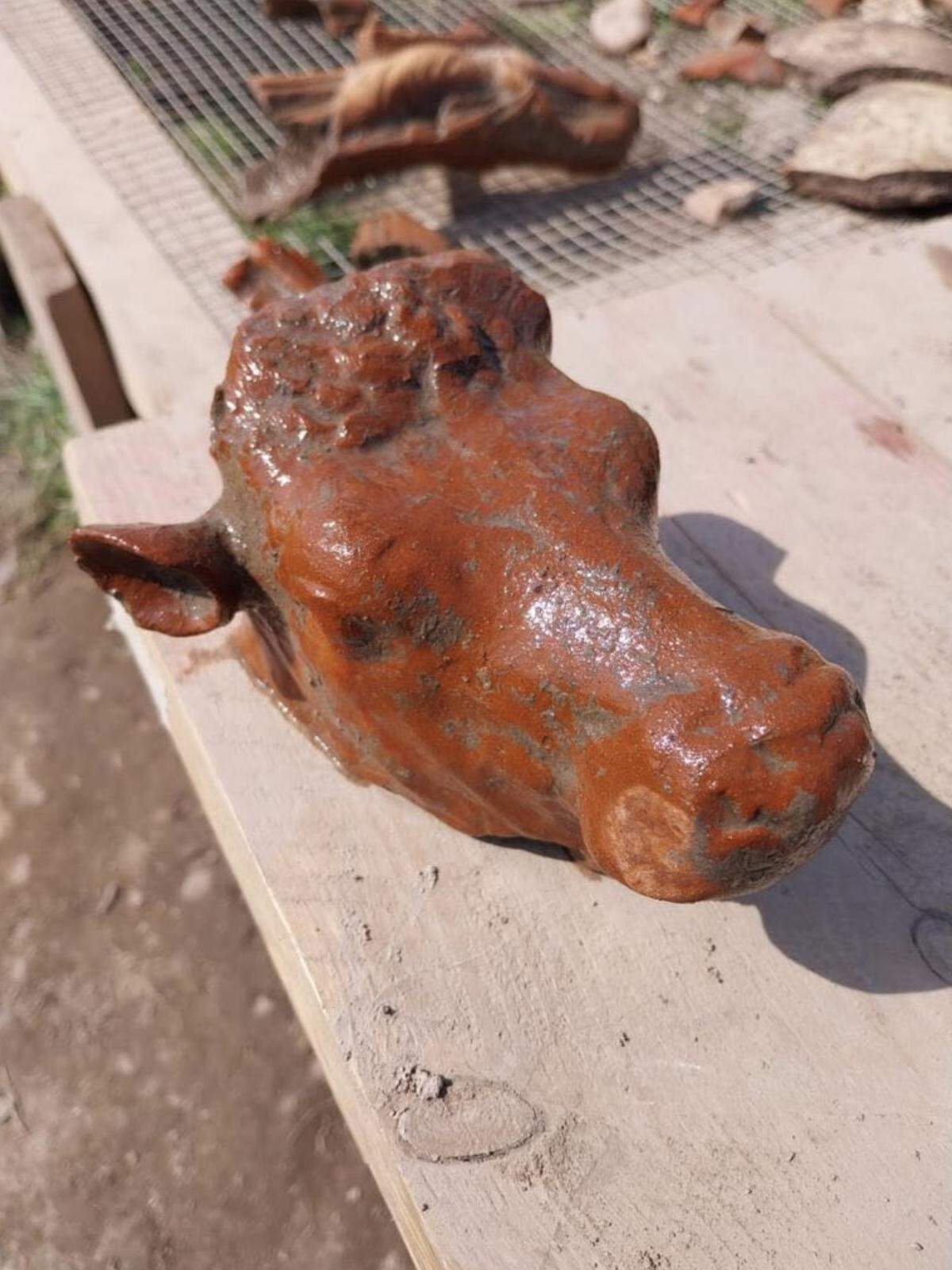 One of the seven terracotta bull heads