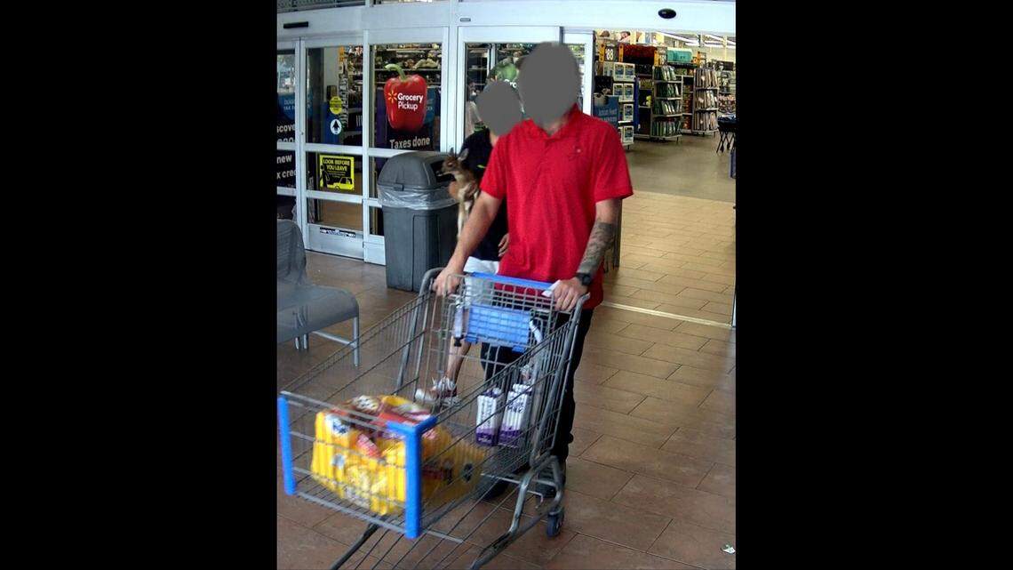 A couple was cited for having a deer fawn illegally as a pet, according to Georgia wildlife officials.