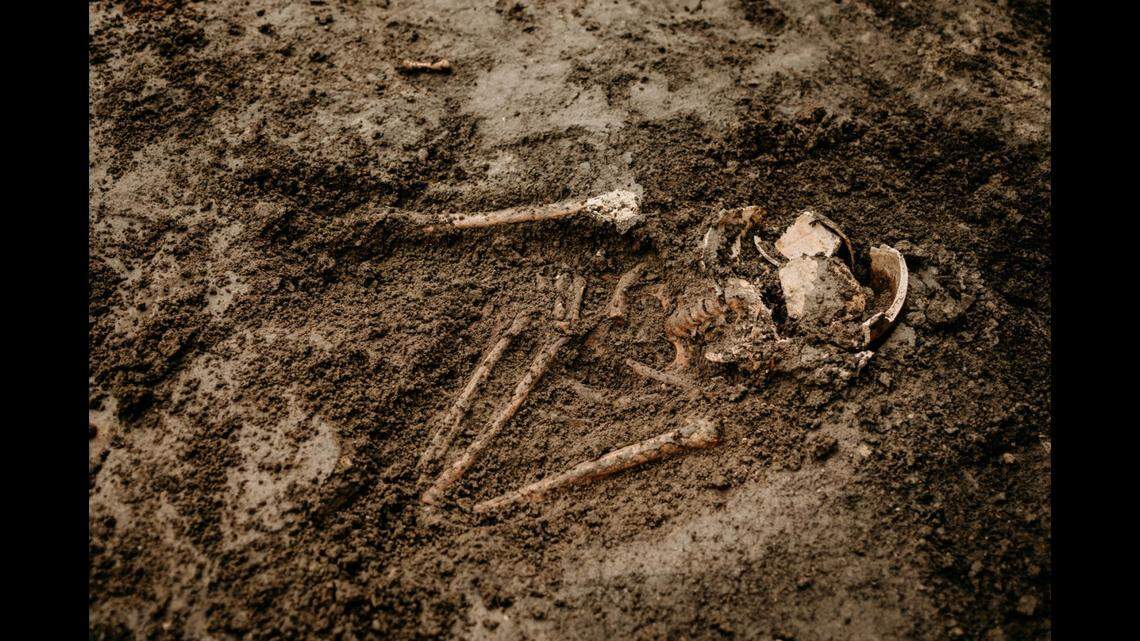 Six graves from the cemetery were examined, the university said.