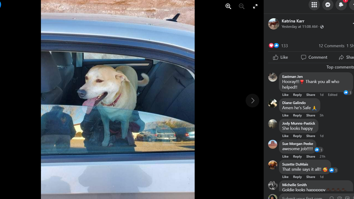 Goldie was rescued after being stuck on an Arizona cliffside for two days.