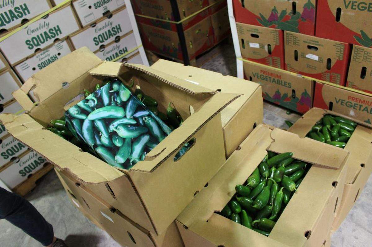 Drug-sniffing dogs alerted to the tractor-trailer before it was searched, border agents said.