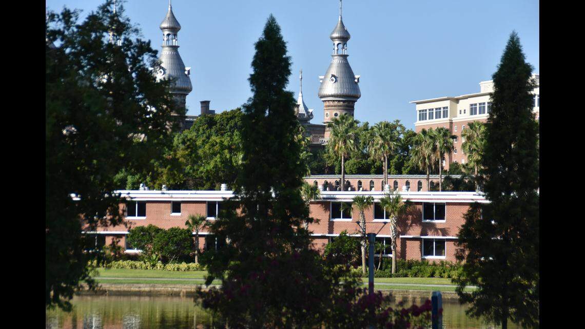 A University of Tampa student was shot and killed when he tried to enter an unknown vehicle, Florida police said.