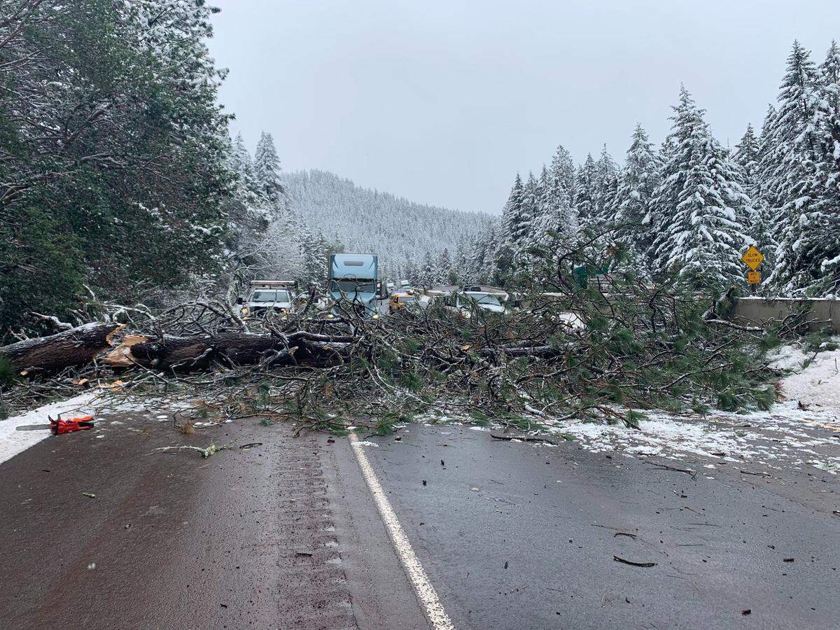 The tree covered multiple lanes of the interstate.