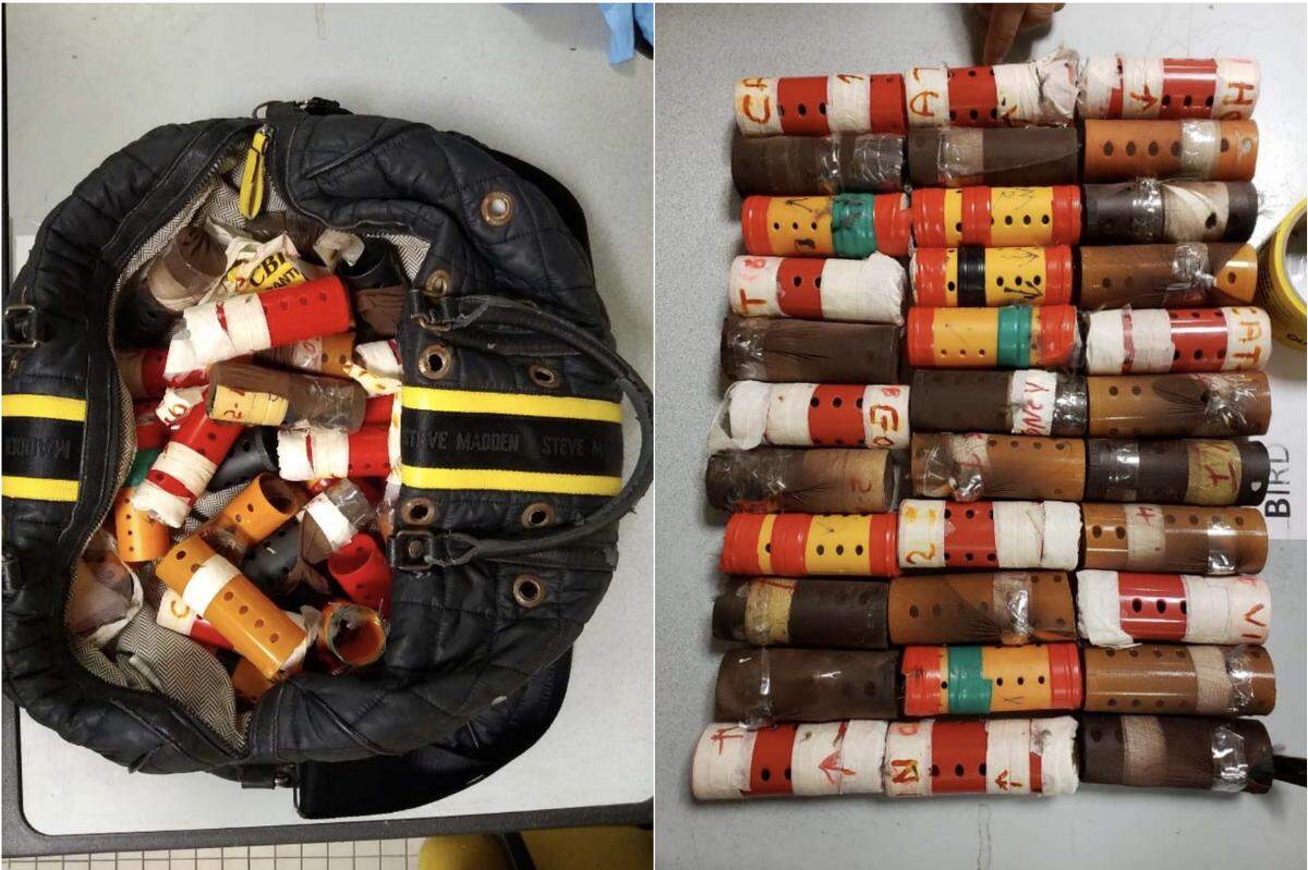 The man said he planned to sell each bird for around $3,000, according to federal prosecutors.