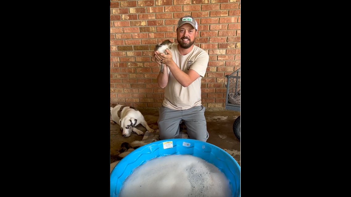 Robert Brantley has gone viral on social media for uploading video of his rescue of more than a dozen kittens by the side of the road.