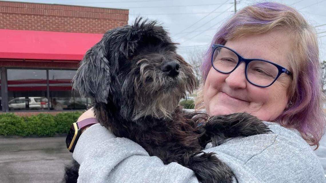 Stacey Staton Elam lost her beloved dog, Chris, named in memory of her late husband, in Alabama. He was found weeks later on Elam’s wedding anniversary 500 miles away in North Carolina.