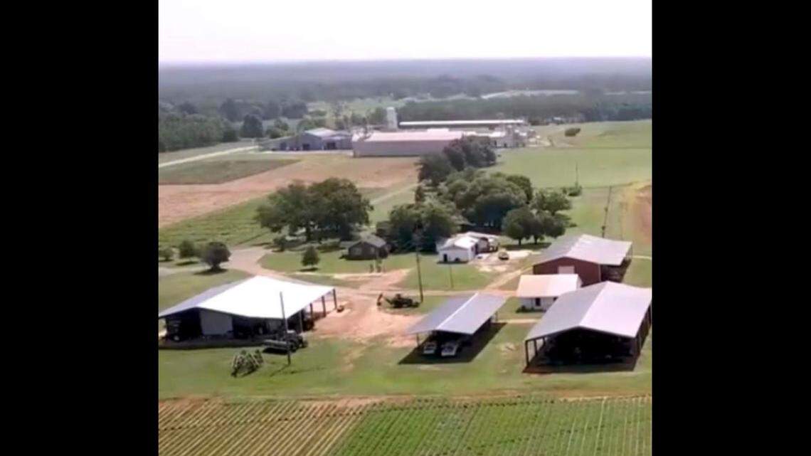 A man died after becoming trapped under a grain bin elevator at a Plains Experiment Station in Georgia, according to Sumter County Fire Rescue.