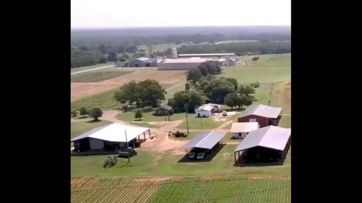 A man died after becoming trapped under a grain bin elevator at a Plains Experiment Station in Georgia, according to Sumter County Fire Rescue.