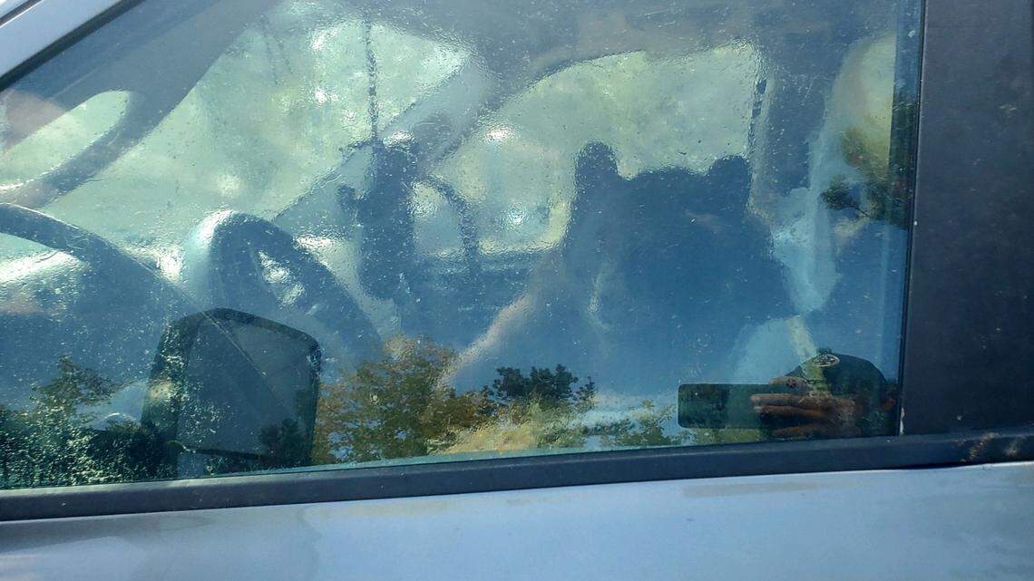 A bear got into a truck in South Park, Colorado, and caused “extensive damage,” wildlife officials said.