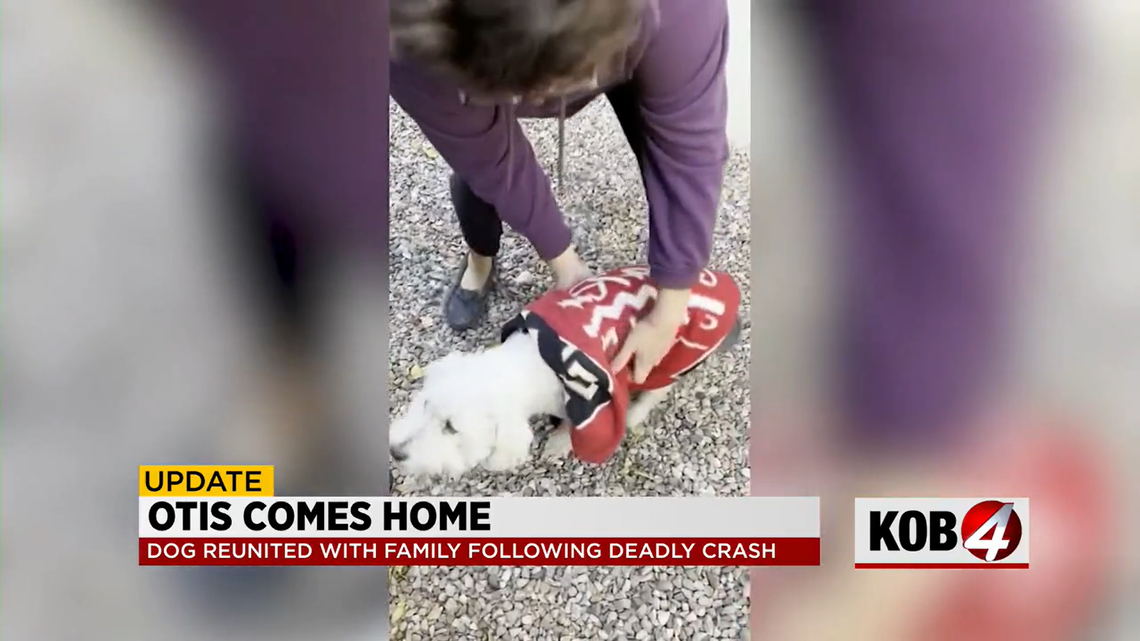 Melanie Garcia was reunited with her dog, Otis, after he survived a car crash that killed her partner.