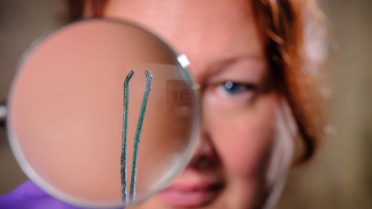 An English Heritage conservator examines a collection of tweezers used to remove armpit hair from Roman men and women at Wroxeter Roman City, Shropshire – a Roman town once as large as Pompeii.