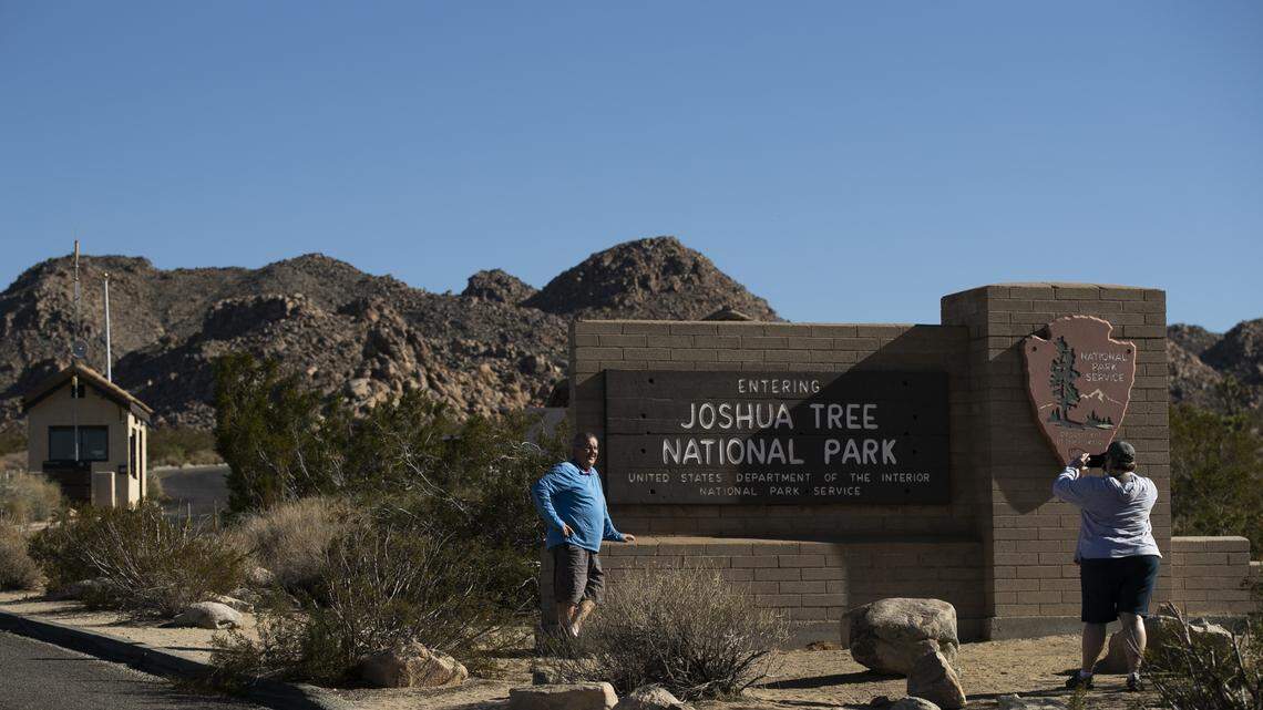 Joshua Tree National Park in California saw a 20% increase in visitation in November 2020 and expects an “extremely busy” spring, the National Park Service said.