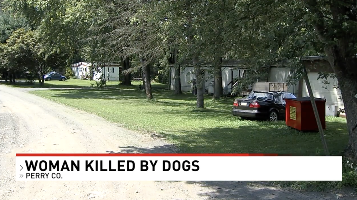 Newport, Pennsylvania, woman Rhoda Wagner was killed in a dog attack while caring for her roommate’s pets, police said. She was found dead in her front yard. Screengrab from WHP.