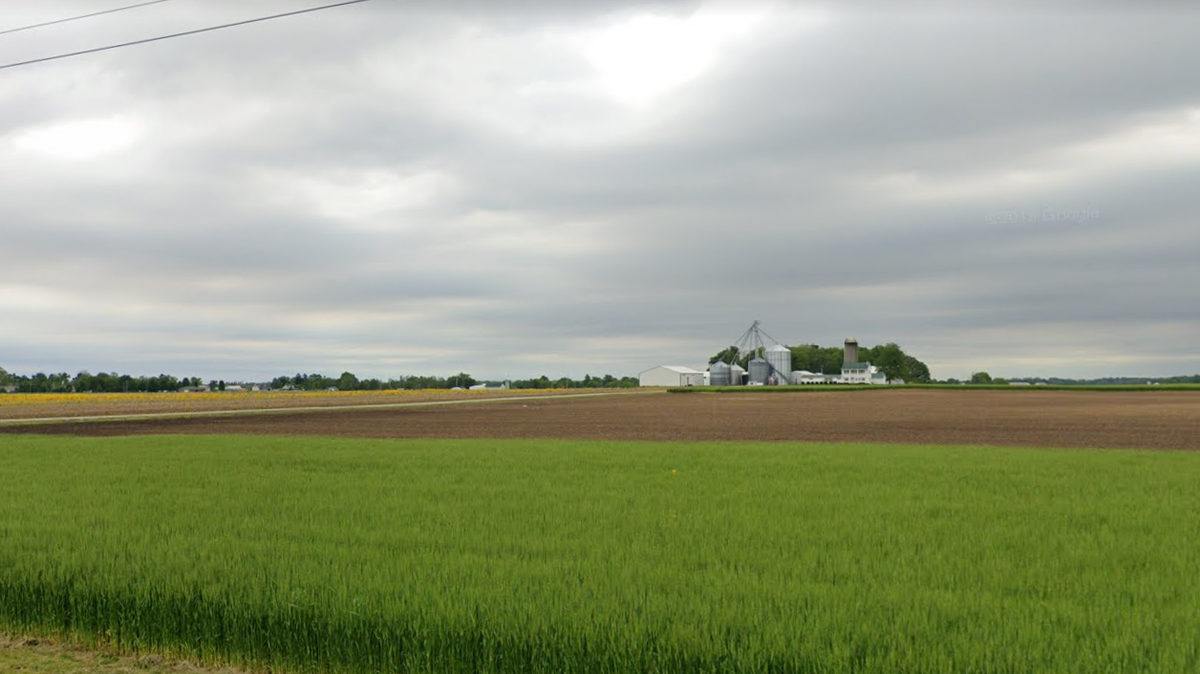 A pilot crashed a small plane into a field in Ohio, police said. He then paid a visit to a nearby home.