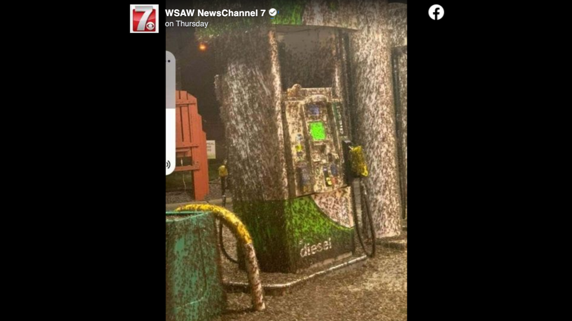 A swarm of mayflies flew to a BP gas station in Nekoosa, Wisconsin, again, covering fuel pumps. Large sightings of the flies is a sign of good water quality. Screengrab from WSAW NewsChannel 7 on Facebook.