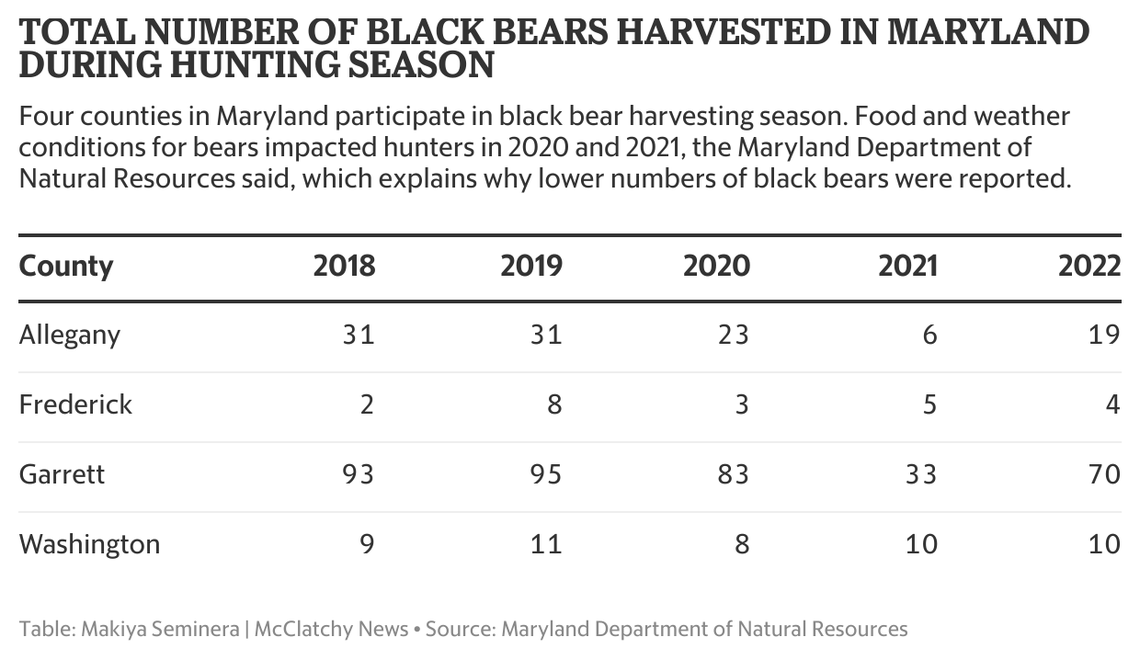 Four counties allow black bear hunting during season in Maryland: Allegany, Frederick, Garrett and Washington.