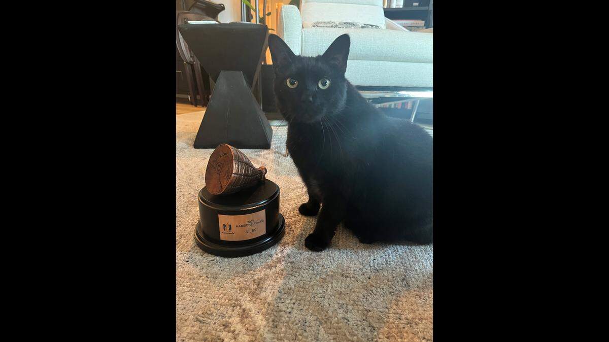Giles the cat was the recepient of the 15th annual Hambone Award, which is given to the pet with the oddest pet insurance claim story, according to a Nationwide news release.