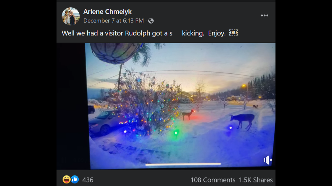 A Rudolph lawn decoration in British Columbia keeps getting attacked by real deer.