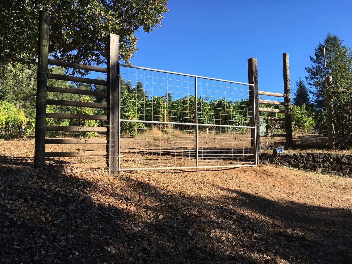 Navarro Vineyards co-owner Aaron Bennett shared a photo showing a fence that area bears can use to climb into a grape-growing area.