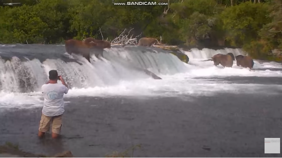Three men were charged with creating hazardous conditions in a closed area and going within 50 yards of bears at Katmai National Park in Alaska, officials said.