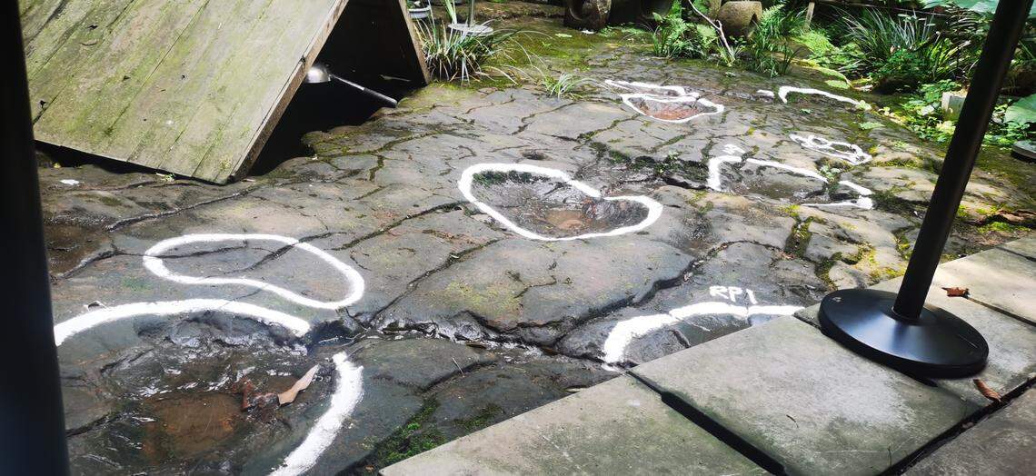 The pits were evenly spaced and distributed like footsteps from another age.