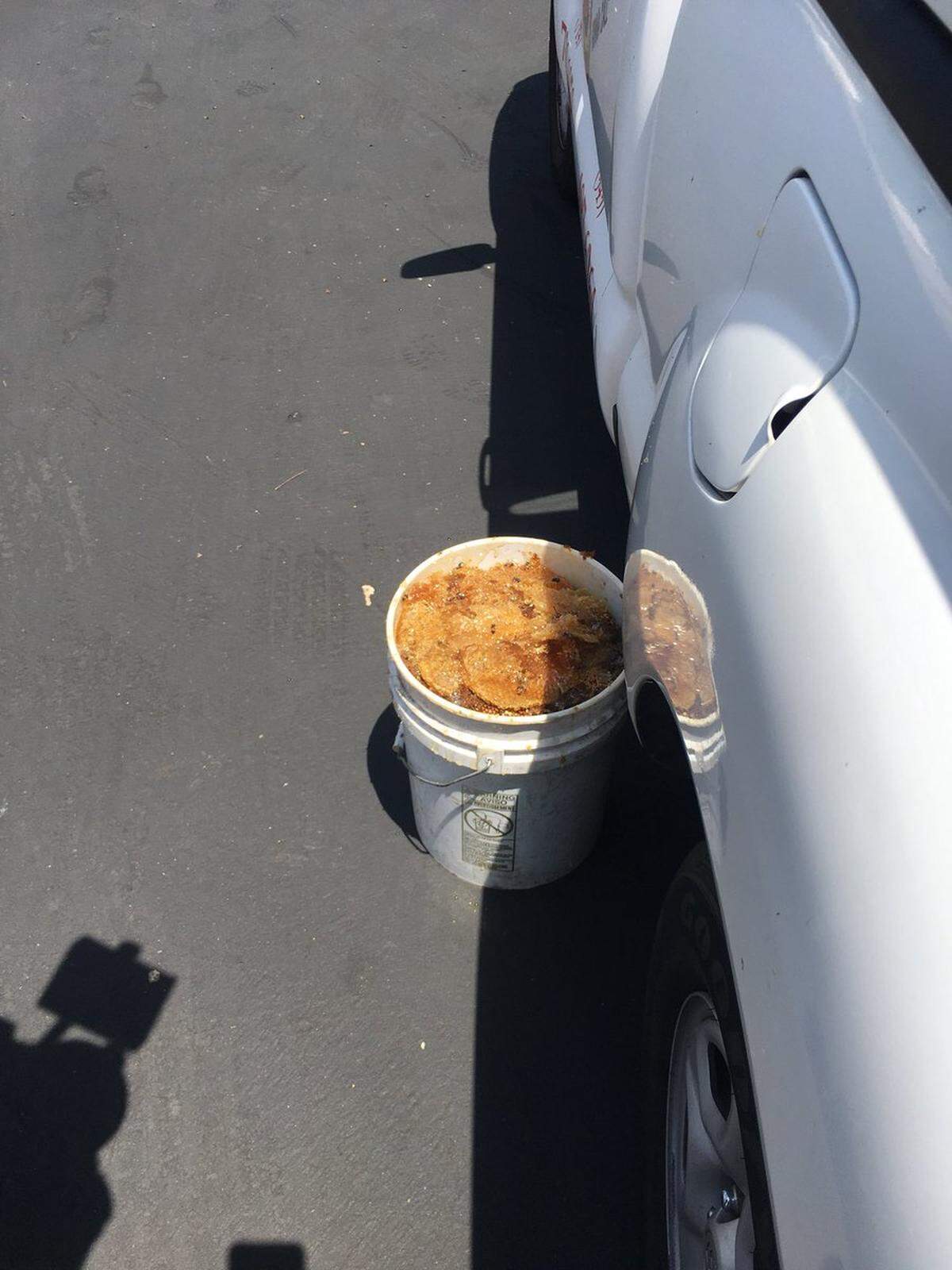 A bee hive weighing about 10 pounds was removed from the bushes by an expert after the attack, FOX 11 reports.