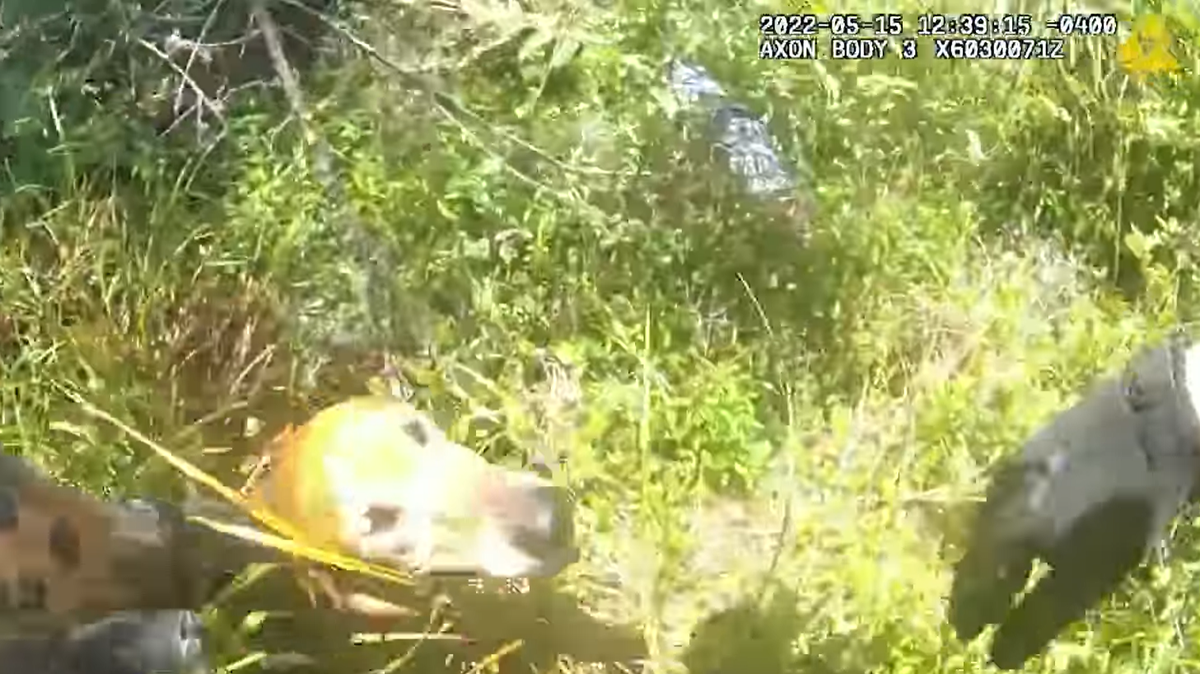A K-9’s sense of smell led deputies to a missing woman with dementia lying in a wooded area about 250 feet from her house in Florida.