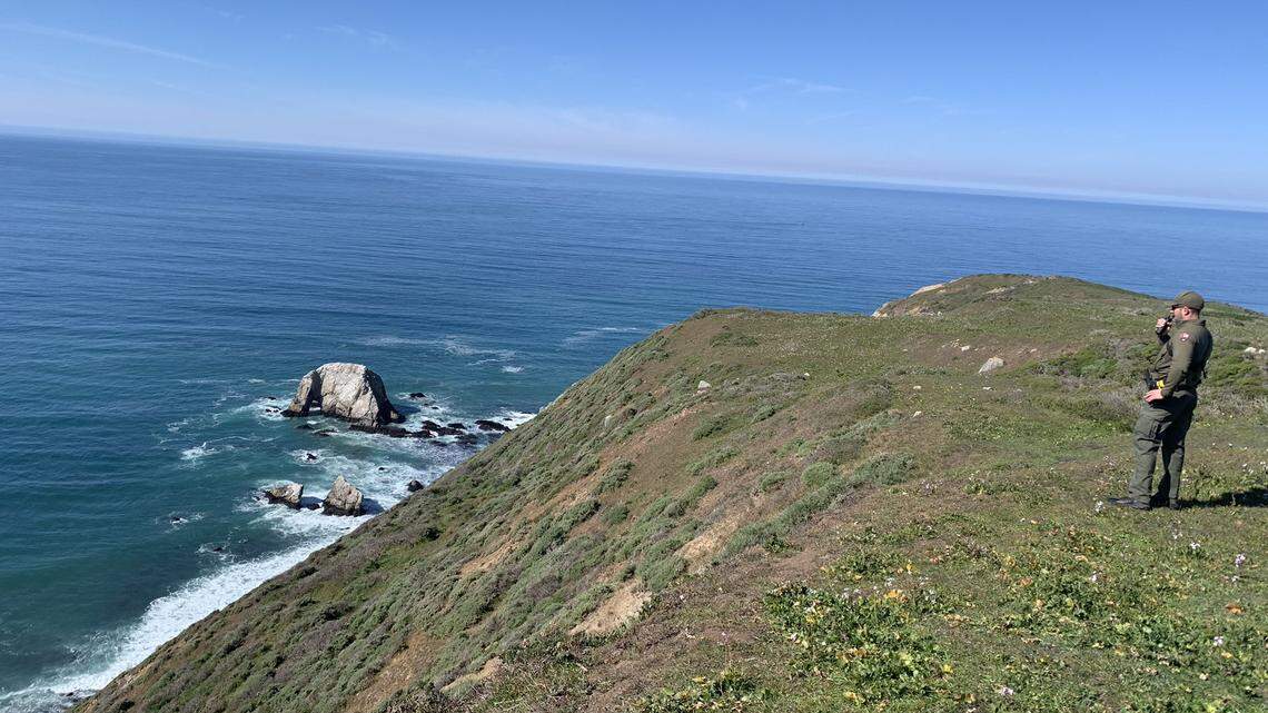 Point Reyes National Seashore officials investigated an empty boat drifting in the water.