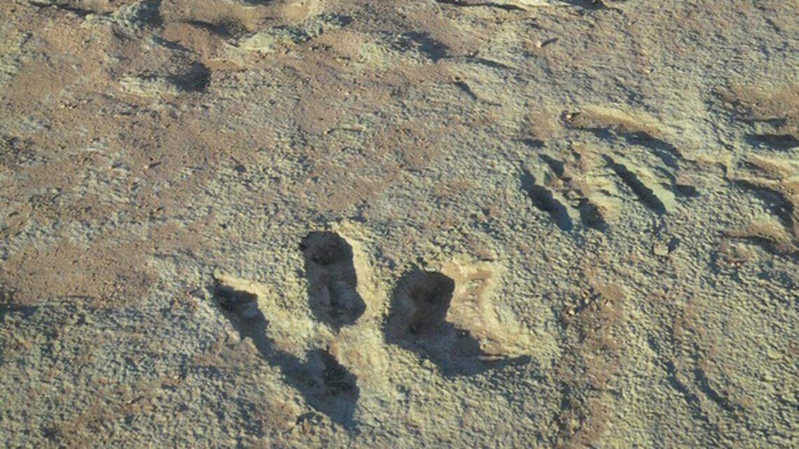 The Mill Canyon Dinosaur Tracksite is home to more than 200 fossilized footprints.