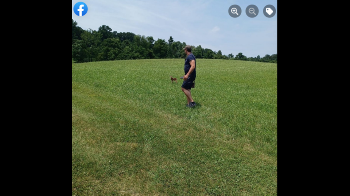 The deer’s mother waited anxiously in the field before the two were reunited.