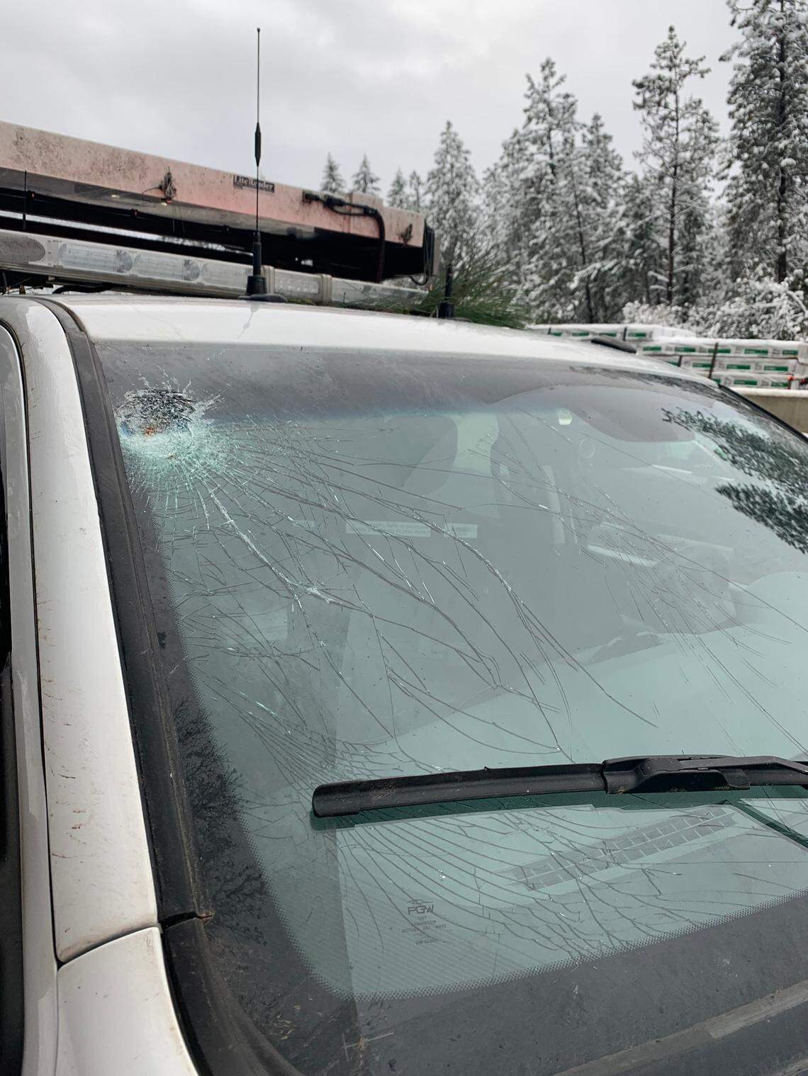 A huge tree crashed onto an Oregon interstate and only cracked a car’s windshield, the Oregon Department of Transportation said.