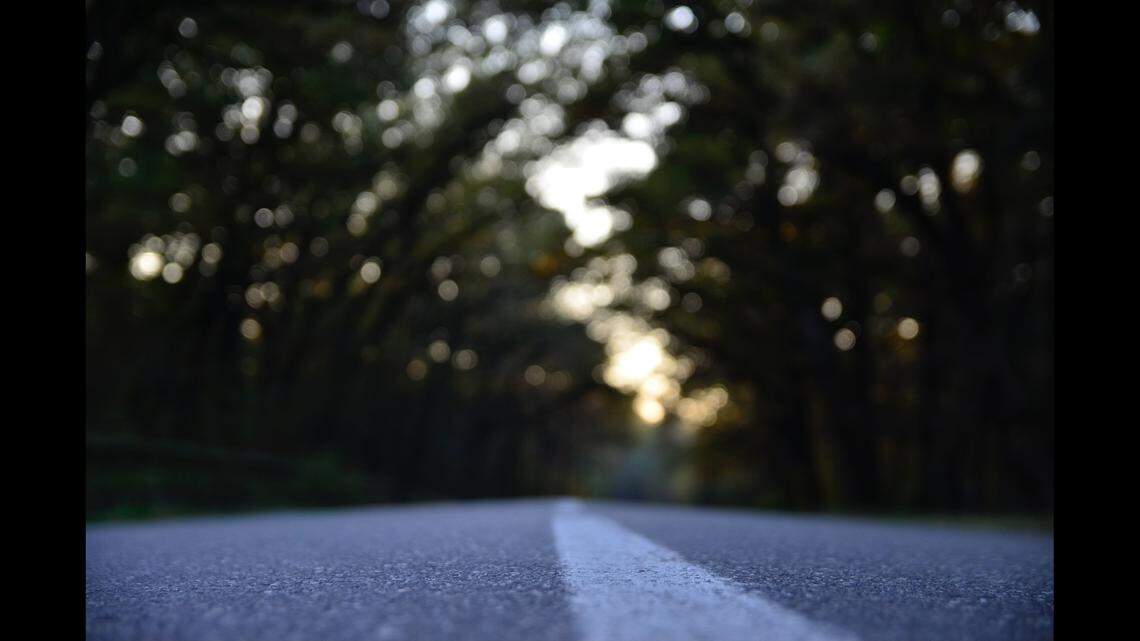 An 18-year-old driver shot a woman’s SUV 7 times because he said she “cut him off,” a Florida sheriff’s office said.