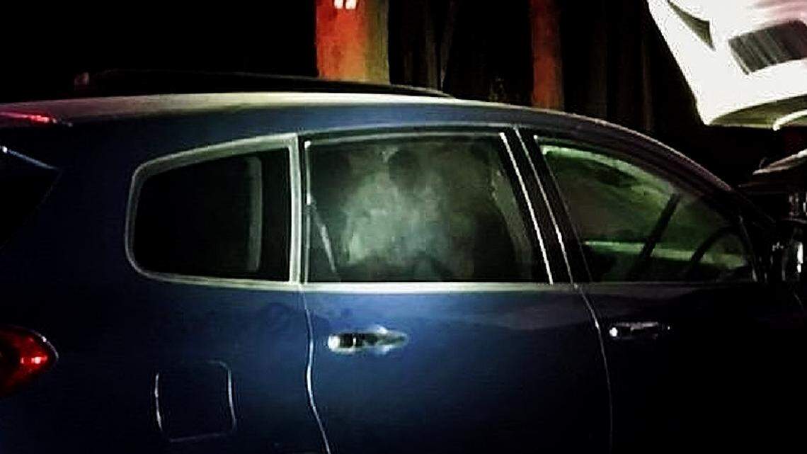 A bear demolished the inside of a Colorado driver’s car while looking for food, Colorado Parks and Wildlife said. Photos show the car doors badly damaged.