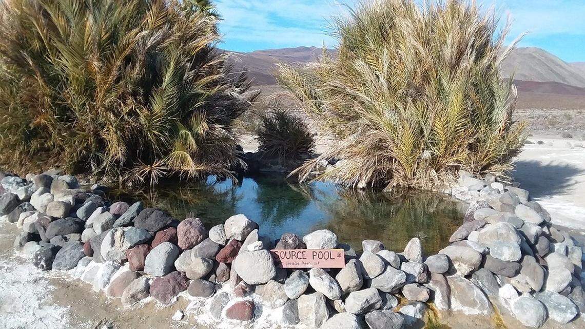 Two park visitors at Death Valley National Park discovered the body of a missing San Francisco man in the Palm Springs source pool, National Park Service said.