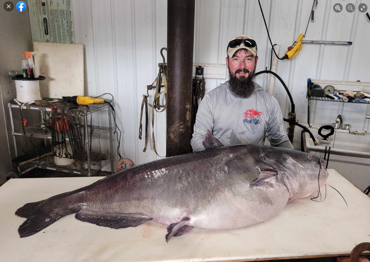 Micka Burkhart brought the fish to a certified weigh station where he was met by a state biologist to certify the catch.