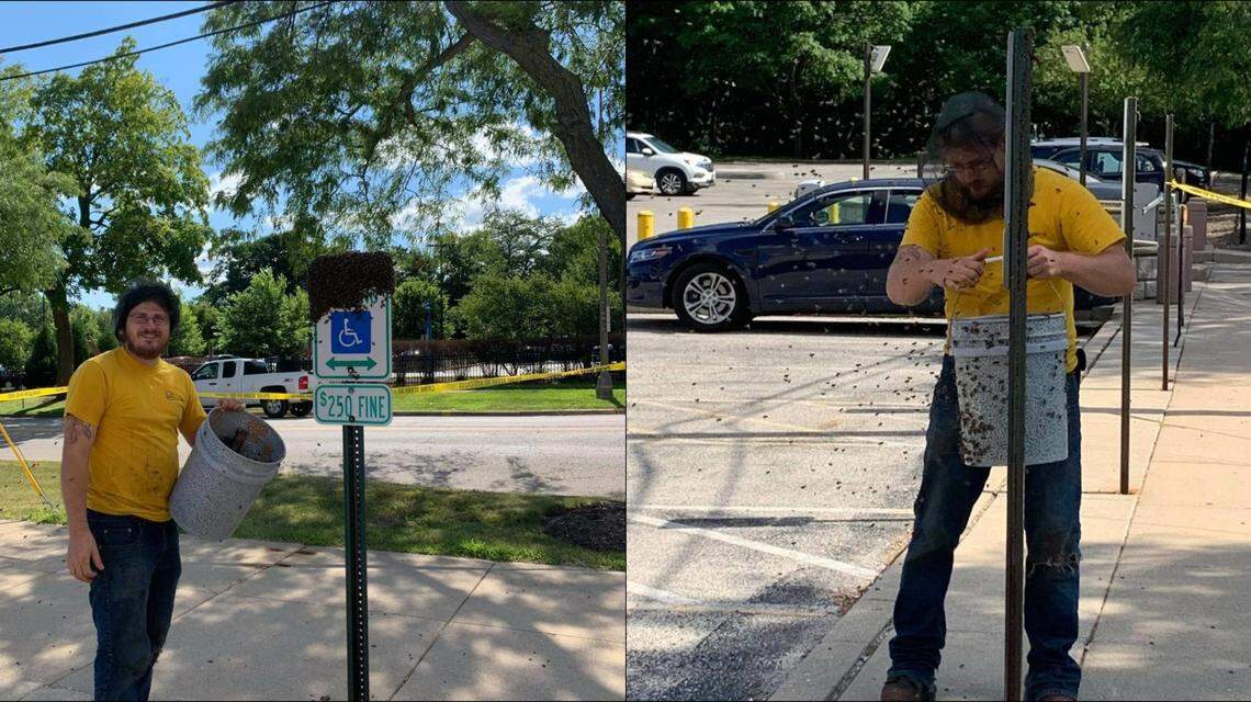 Willie’s Honey Company helped remove the swarm from the sheriff’s office parking lot. Photo from Lake County Sheriff’s Office.