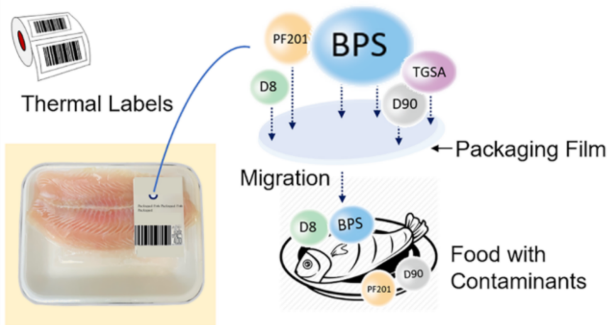 BPS was found in most thermal price labels on food packaging samples taken from four cities in the United States and Canada, the researchers said.