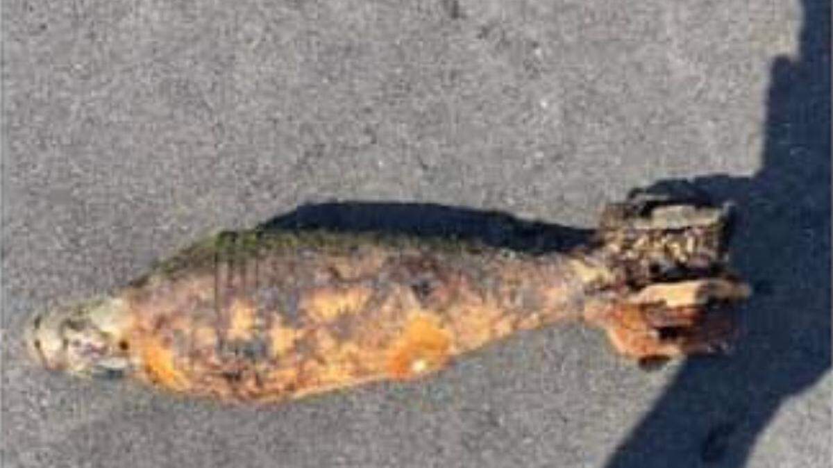 Treasure hunters found mortar possibly from the Korean War era and took the discovery to a Nimrod, Minnesota, bar, prompting a bomb squad response, officials say. Photo from Wadena County Sheriff’s Office.
