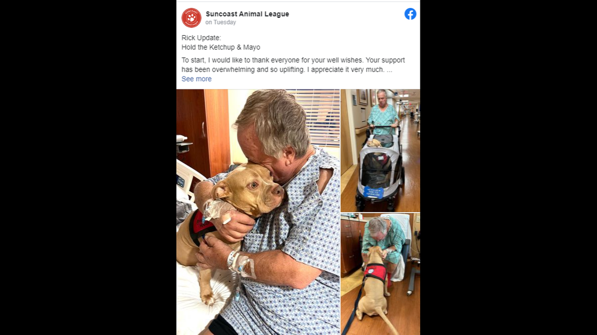 After going to a hospital for a heart condition, a Florida animal shelter director was cared for by a therapy dog from his shelter, according to a Facebook post.