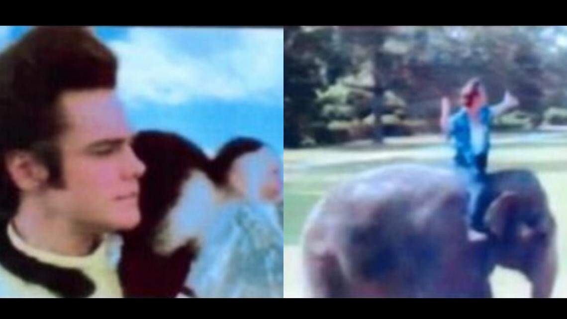 The producers of “Ace Ventura: When Nature Calls” filed a copyright infringement lawsuit against Netflix on Monday, Dec. 27, 2021, in the Central District of California alleging the streaming giant used two scenes from the 1995 movie in “Tiger King” without permission.