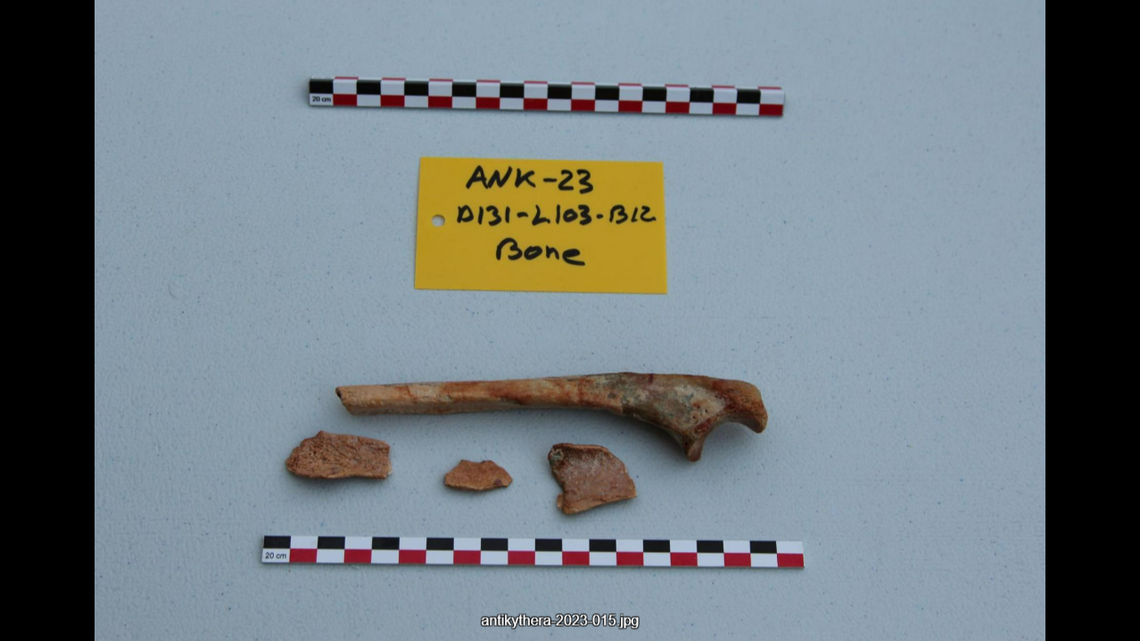 Human remains were excavated from the ship’s ruins.