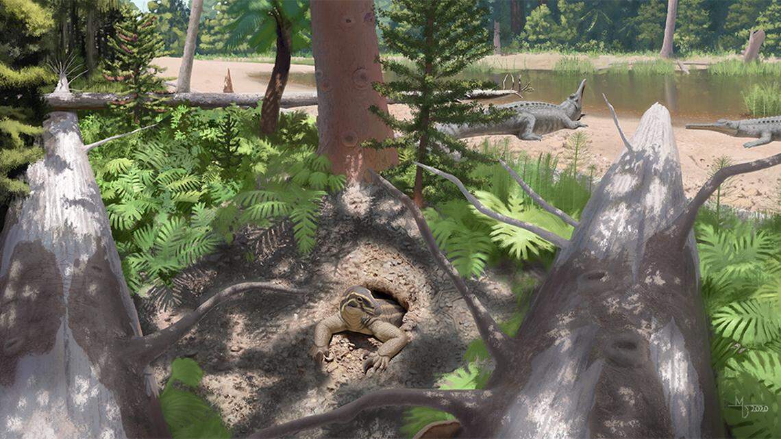 The new species of drepanosaur, Skybalonyx skapter, emerging from a burrow in the Late Triassic at Petrified Forest.