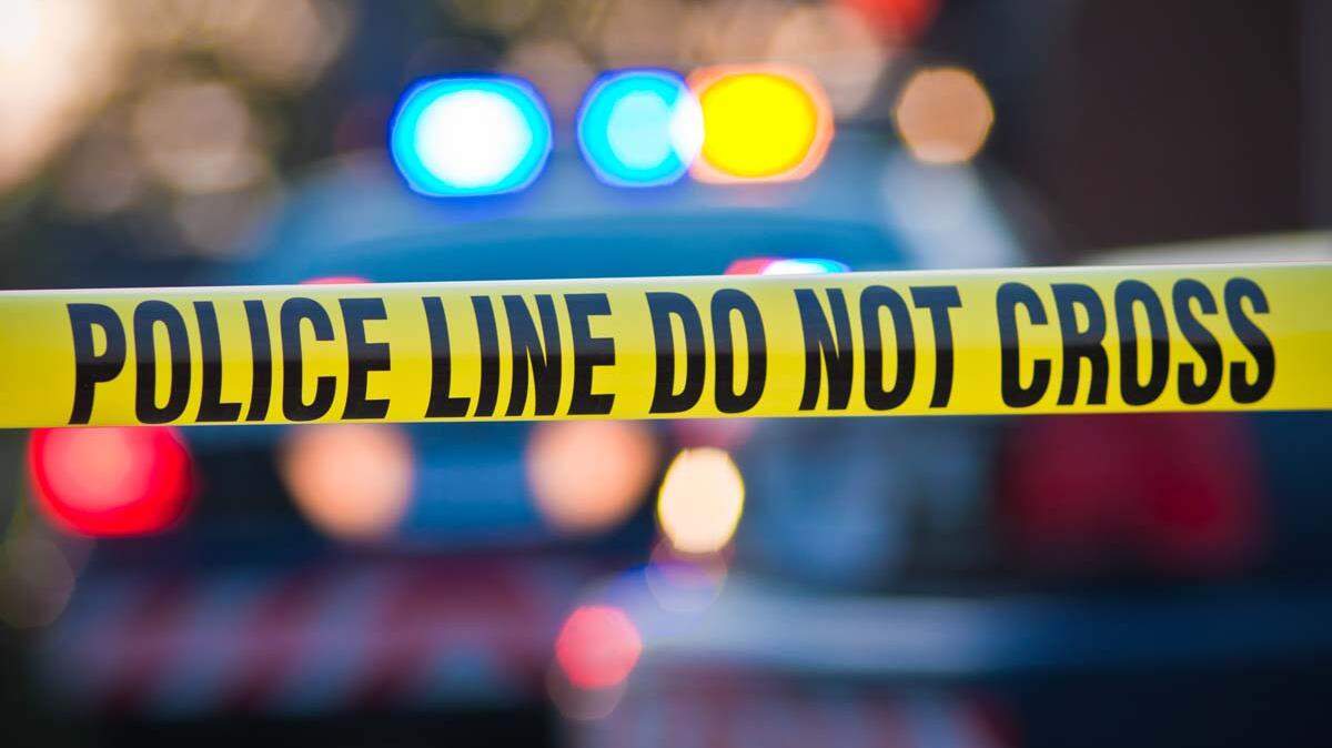 An Illinois man was killed in a fight near his home in the Fort Sheridan Forest Preserve, after he went to ask a group of people outside to be more quiet, according to police.