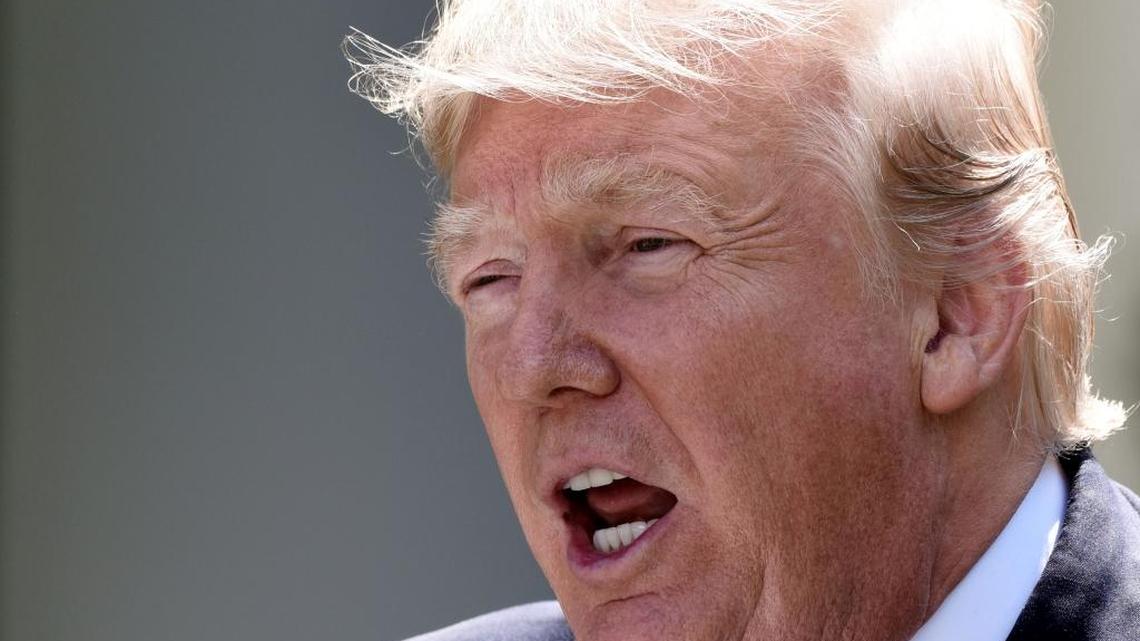 President Donald Trump is under fire to oust White House Chief Strategist Steve Bannon and advisor Sebastian Gorka, whose “alt-right” leanings have come under heightened scrutiny following Saturday’s violent racial clash in Charlottesville, Va. (Olivier Douliery/Abaca Press/TNS)