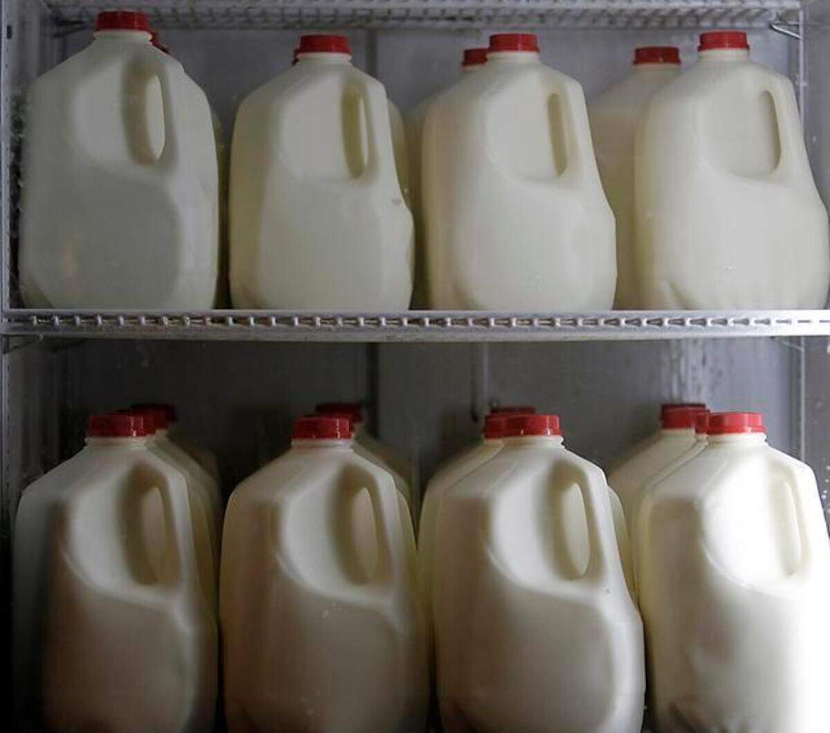 File photo of milk in gallon-sized jugs.