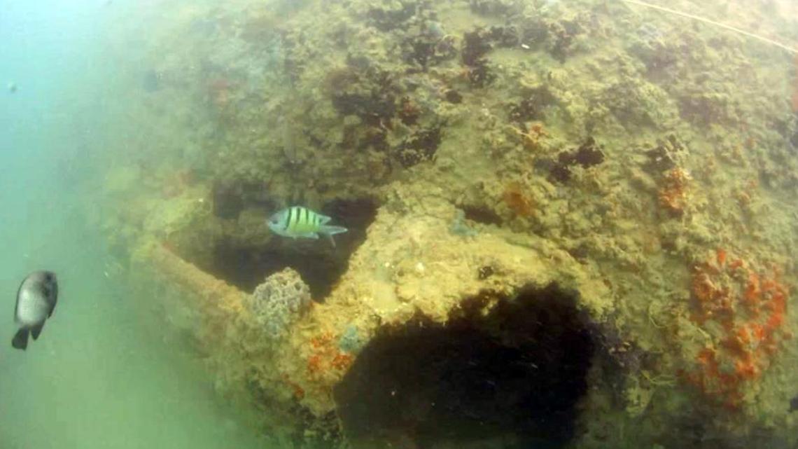 Reef fish swim around a U.S. Navy seaplane sunk in Hawaiian waters during the Japanese attack on Pearl Harbor. New images of the plane are the clearest taken of the Catalina PBY-5 to date, Hans Van Tilburg, a maritime archaeologist with the Office of National Marine Sanctuaries, says.