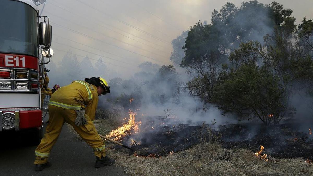 Santa Rosa firefighters work on a fire in Santa Rosa, Calif. Cannabis farms in Mendocino, Sonoma and Napa counties have all been impacted by the fires.